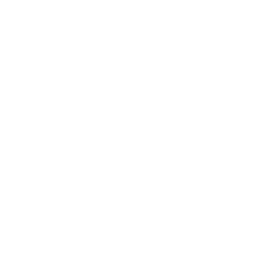 One-on-One Executive Leadership Coaching_White